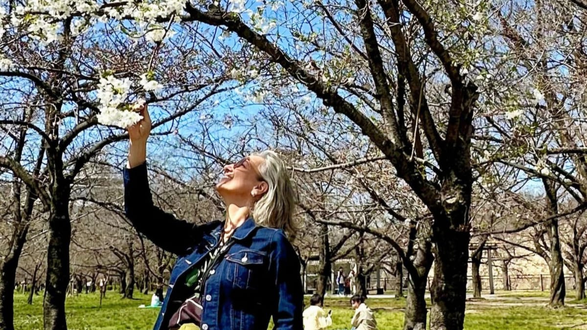 Cerejeiras em flor: a primavera no Japão e na Coreia do Sul