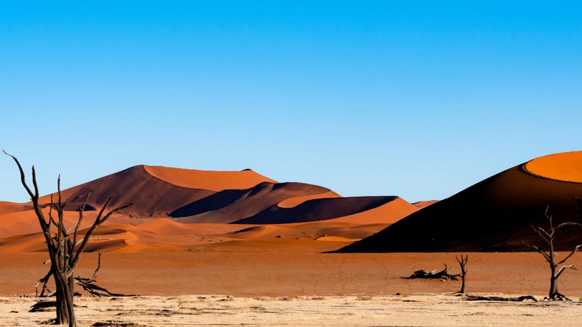 Namíbia: como combinar deserto, costa e safári no roteiro