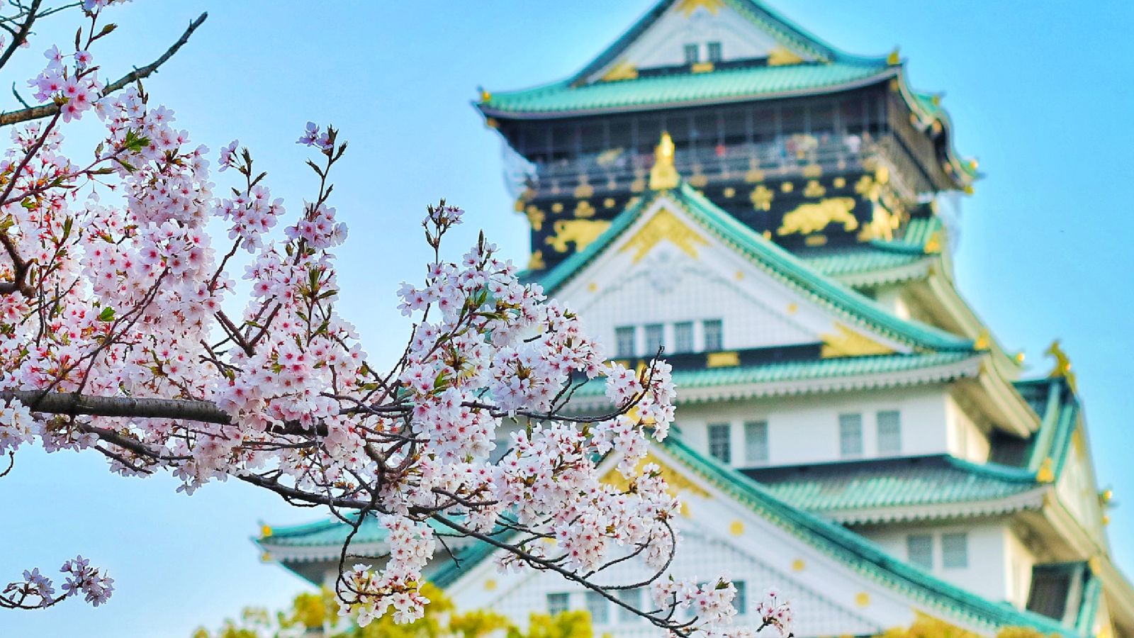Japão e Coréia do Sul