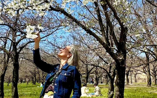 Cerejeiras em flor: a primavera no Japão e na Coreia do Sul