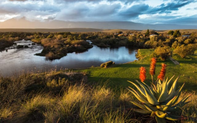 Cidade do Cabo e arredores: paisagens, vinhedos e vida urbana