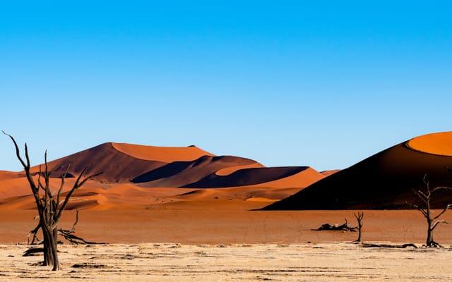 Namíbia: como combinar deserto, costa e safári no roteiro
