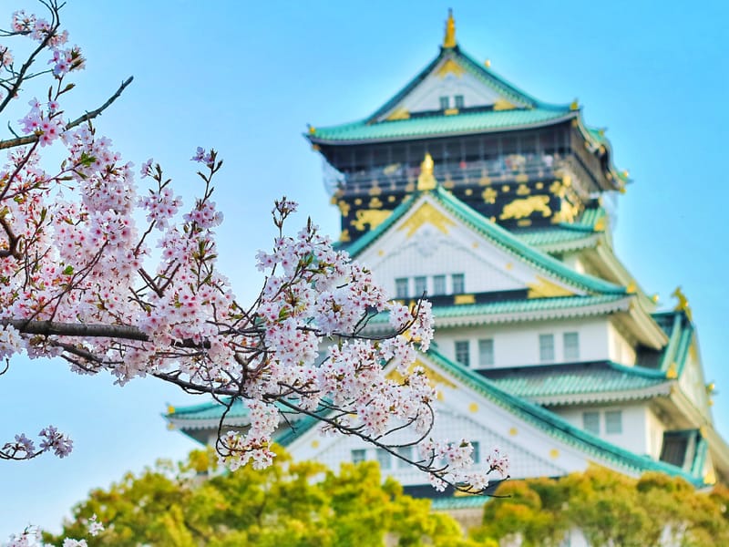 Japão e Coréia do Sul